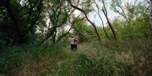 CACHE-CACHE