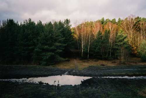 Closed Quarry